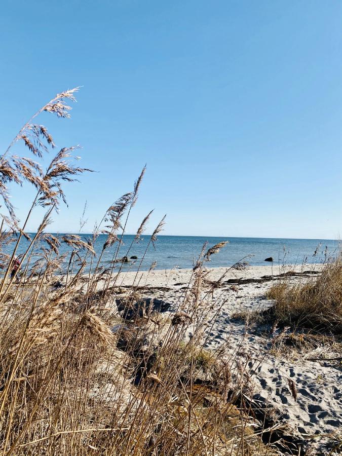 Landlebenliebe Villa Neukirchen  Eksteriør billede