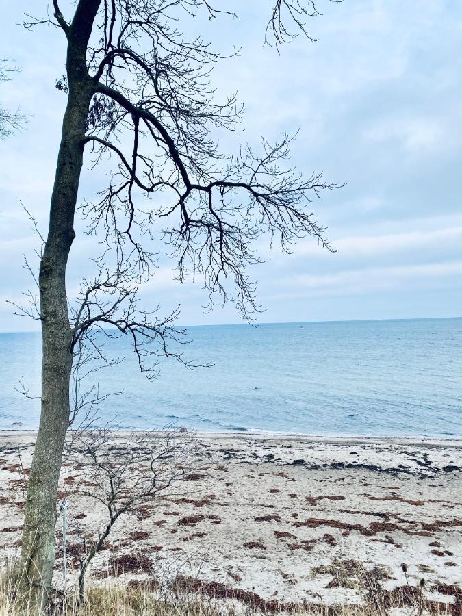 Landlebenliebe Villa Neukirchen  Eksteriør billede